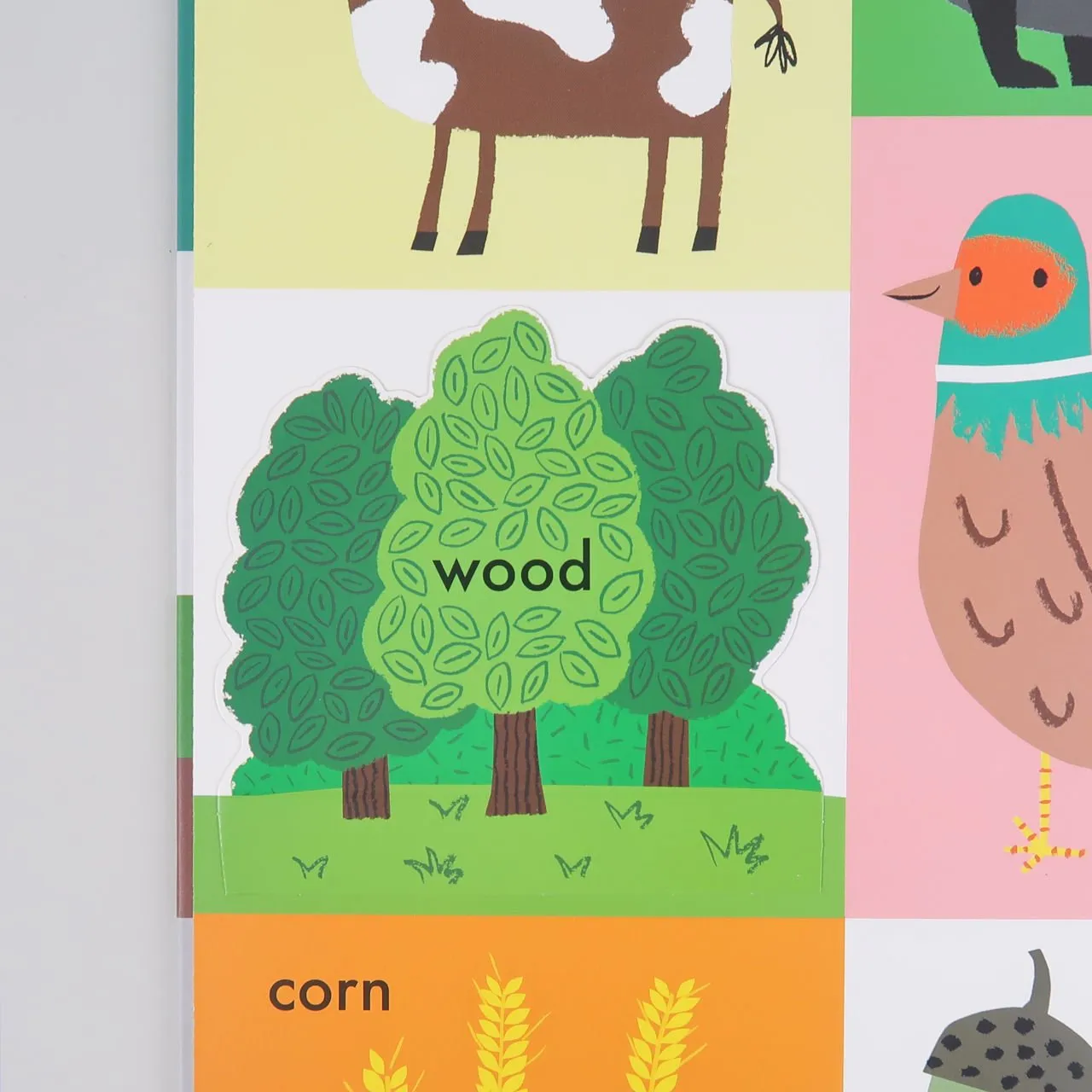 100 First Words: Nature (Hardback)