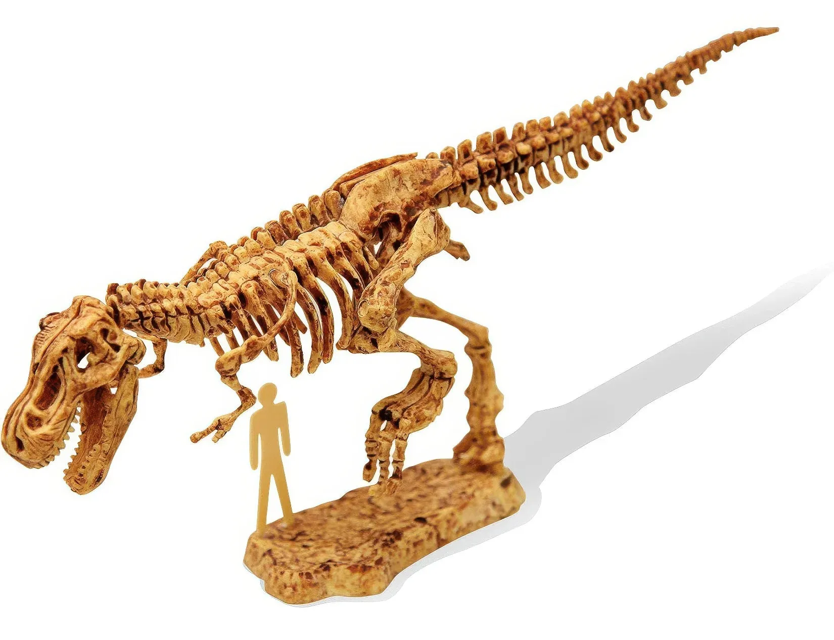 BUKI France Dino Kit Tyrannosaurus Dinosaur Fossil Set
