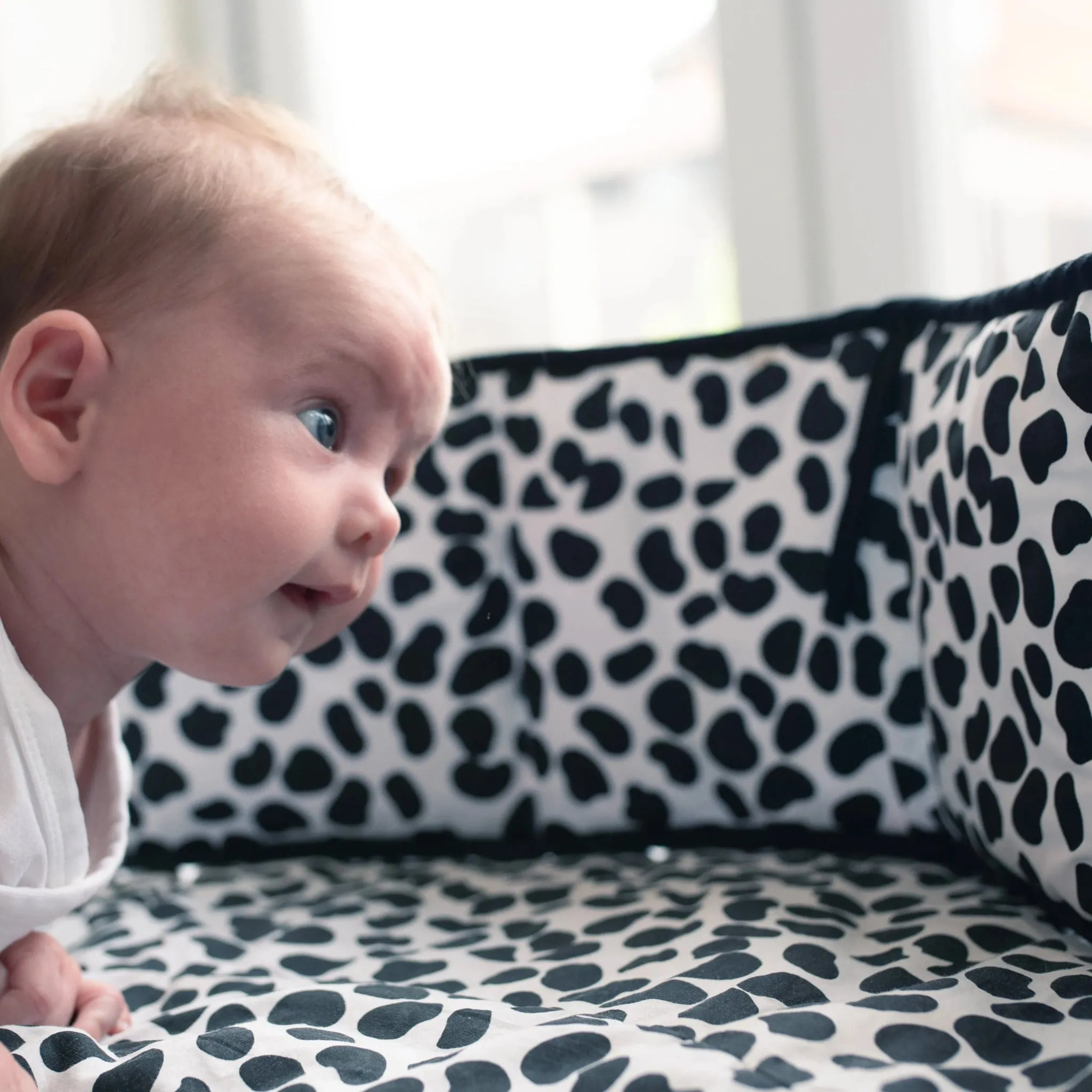 Etta Loves: ANIMAL PRINT SENSORY STRIP - reversible newborn to 4 months and 5  months