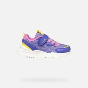 Geox: Loftus Velcro Trainers - Violet / Fuchsia