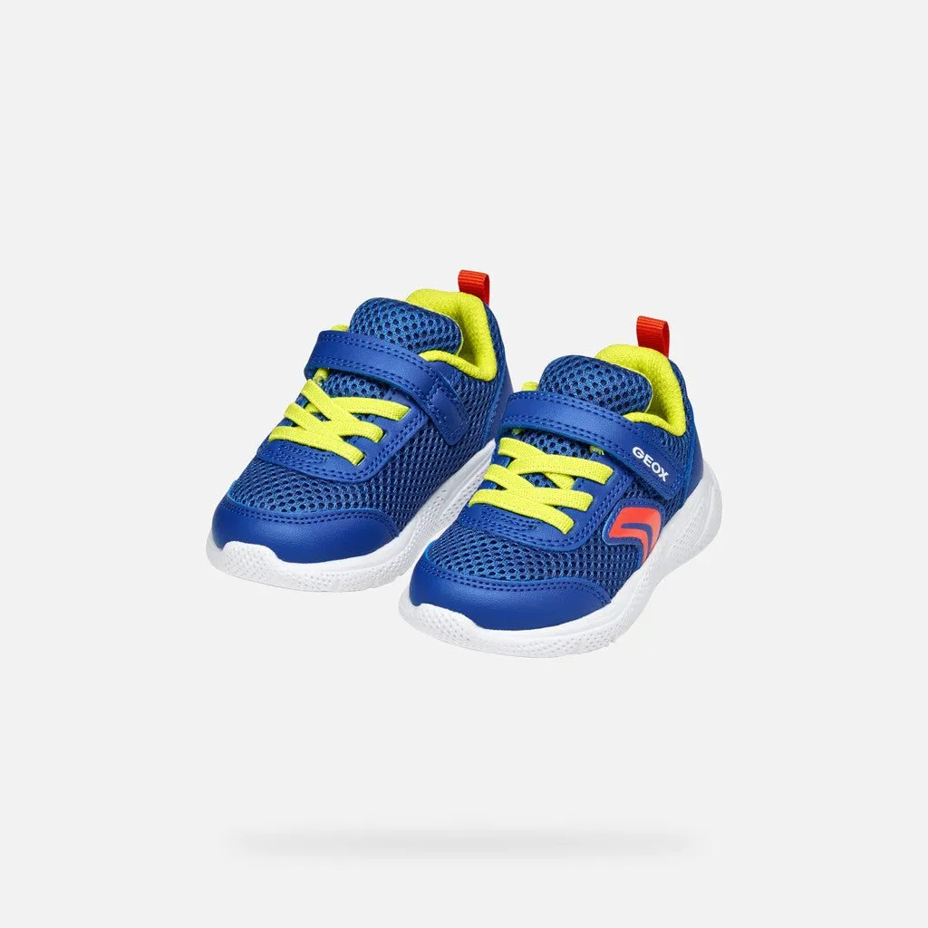 Geox: Sprintye Velcro Trainers - Royal / Red