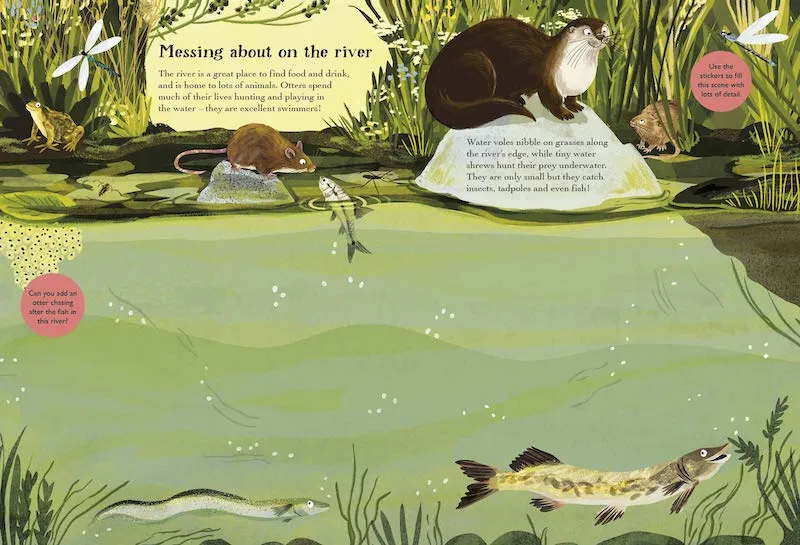 Hedgehogs, Hares & other British Animals