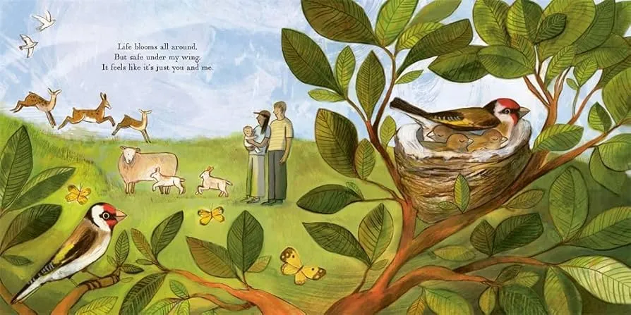 Home Is A Nest (Hardback)