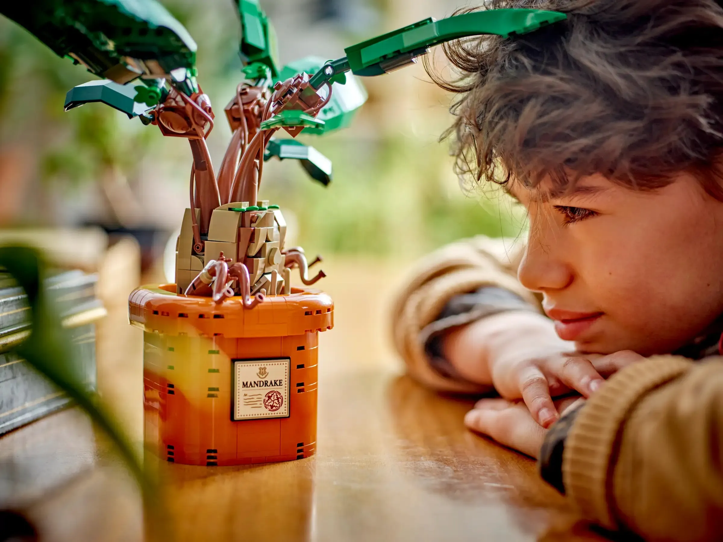 LEGO HARRY POTTER 76433 Mandrake