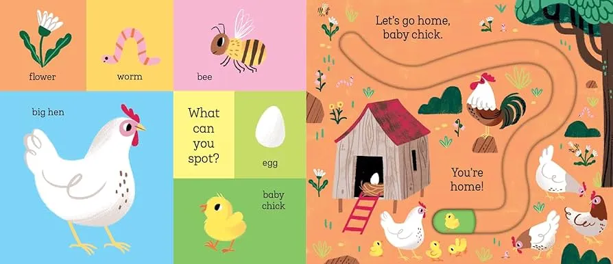 Let's Go Home, Baby Chick (boardbook)