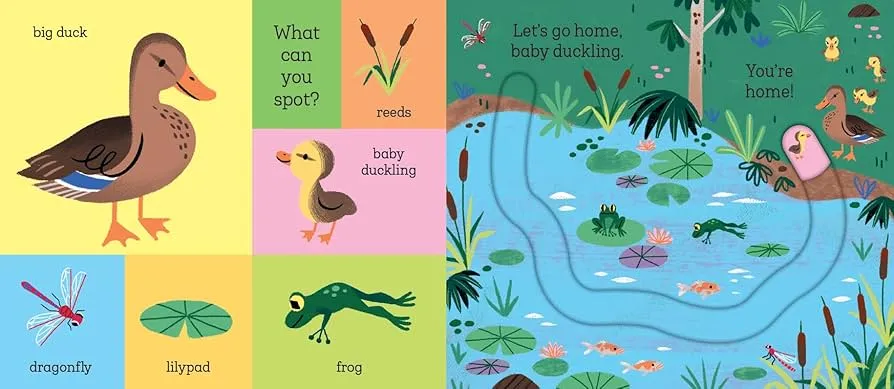 Let's Go Home, Baby Chick (boardbook)