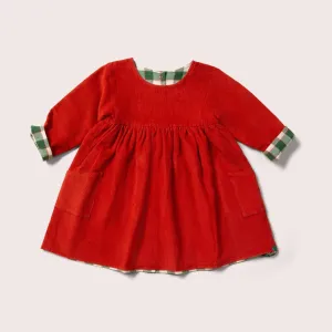 Little Green Radicals: Hazelnut Reversible Corduroy Pocket Dress