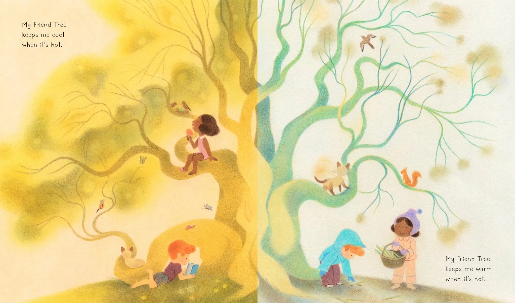 My Friend Tree - Paperback
