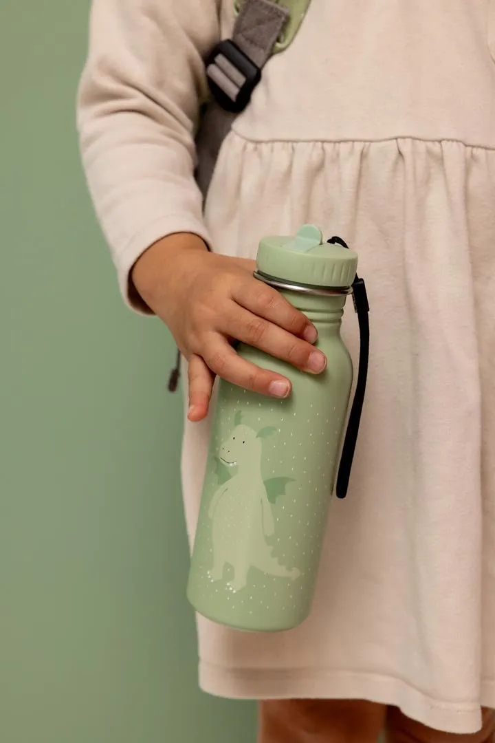 Trixie: 500ml Water Bottle - Mr Dragon