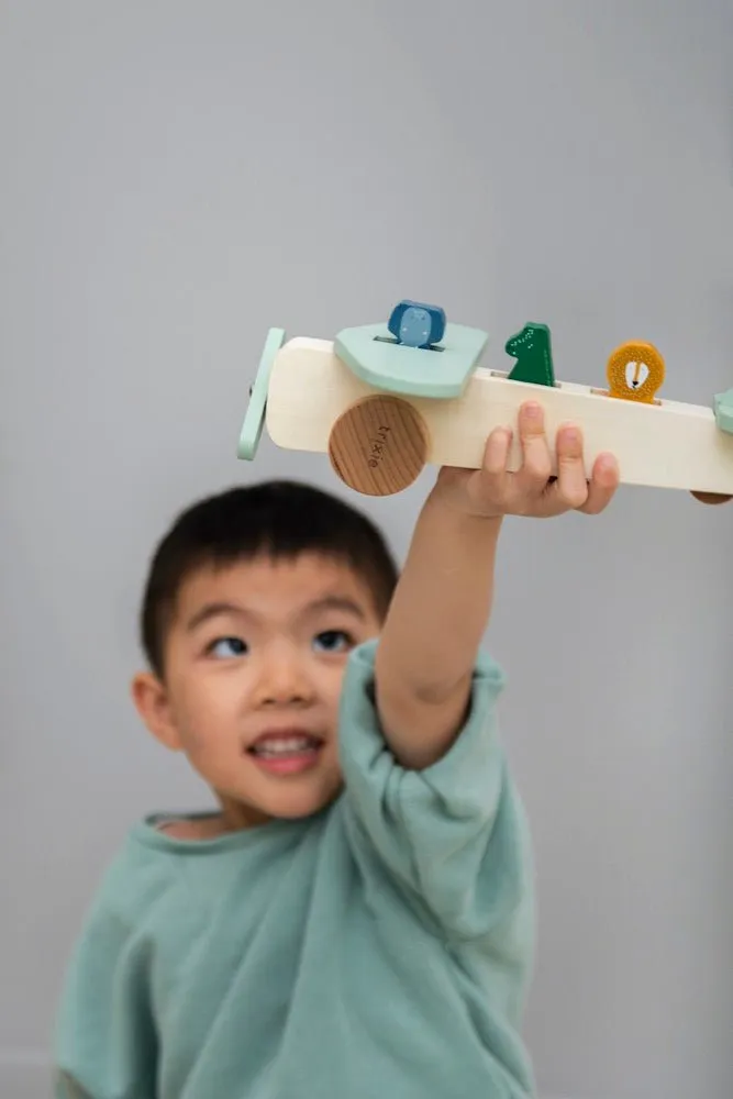 Trixie: Wooden Animal Airplane